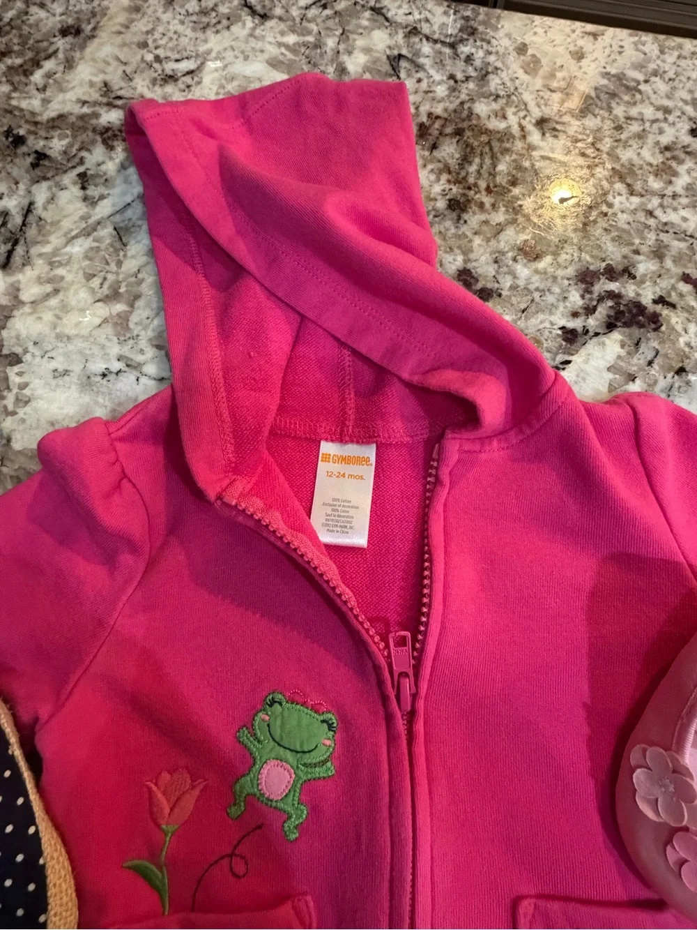 Gymboree zip up